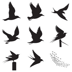 Silhouettes of wild birds in flight Raven Silhouette Pigeons Flying Silhouettes 6 Silhouettes – Birds
