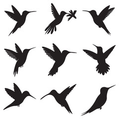 Silhouettes of wild birds in flight Raven Silhouette Pigeons Flying Silhouettes 6 Silhouettes – Birds