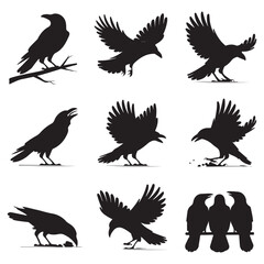 Obraz premium Silhouettes of wild birds in flight Raven Silhouette Pigeons Flying Silhouettes 6 Silhouettes – Birds