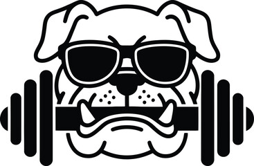 A Black and white bulldog with dumbbell vector illustration 