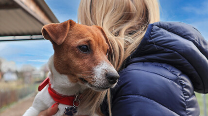 Dog in owner's arms, looking into the distance.