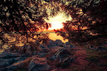 amazing nature scenery, Croatia, Europe, Adriatic sea, Zadar region, scenic coast 