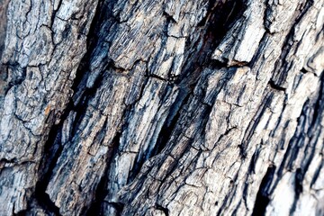 Walking tour of Haifa, Israel.