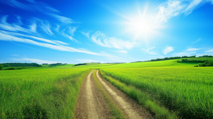 Fototapeta premium Rural farmland from ground level showing dirt roads lined with natural landscapes in 2024