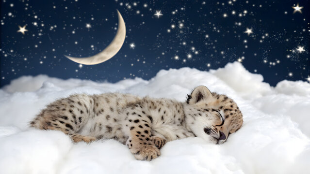 a cute baby leopard sleeping on a fluffy cloud with moon and stars at night