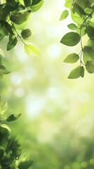 Obraz premium Green leaves framing blurred background, softly glowing under warm sunlight, revealing peaceful natural environment with vibrant depth
