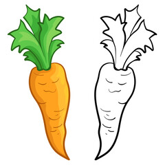 Carrot in cartoon style. Carrot vector illustration.