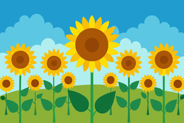 sunflower on a field