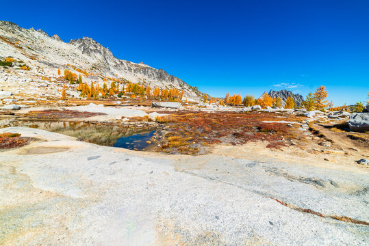 Beautiful Fall Color In Mountains