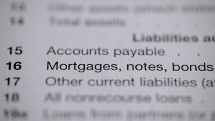 Financial Statement Close-up: Mortgages, Notes, and Bonds. Focus on financial recordkeeping, debt...