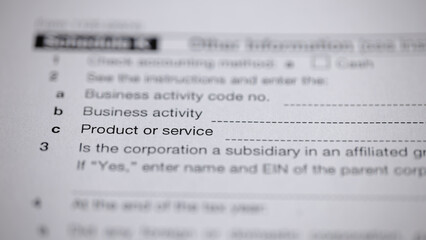 Filling out official form with fields for 'Business activity code no.', 'Business activity', and...