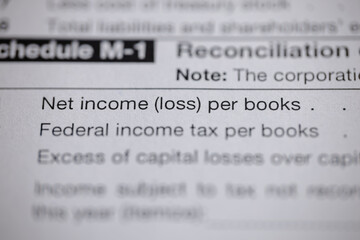 Close up of a tax form showing net income (loss) per books and other financial data. Schedule M-1...