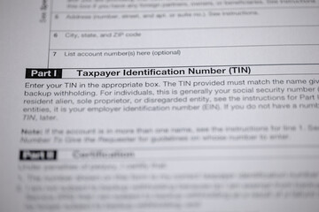 Taxpayer Identification Number form section, detail. Document focused on TIN submission, part of...
