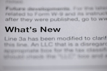 Text fragment showcasing the heading "What's New" and the start of a paragraph discussing updates and modifications to a form-related line.