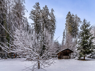 Kleine Jagdhütte in einem Winterwald
