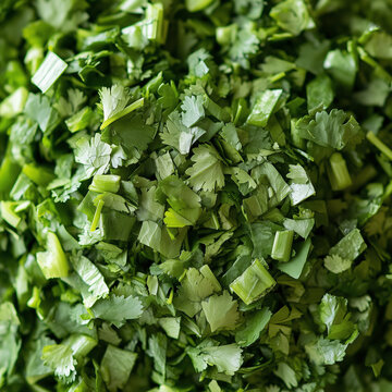 Freshly chopped cilantro leaves, close-up texture background

