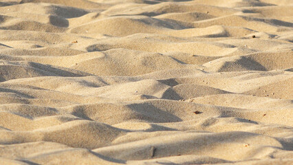 Detail of sand dunes in the desert