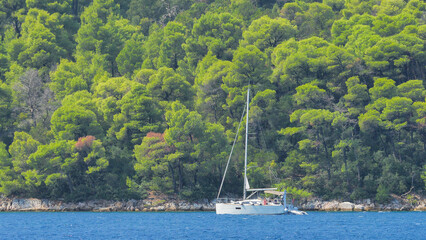 Isolated white boat sailing close to green coast, beautiful travel