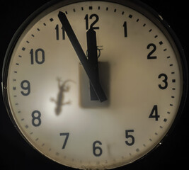 Gecko lizard shadow silhouette inside a lit street clock
