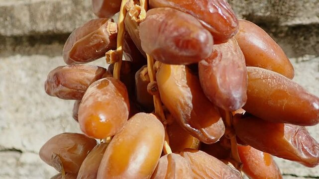 Dates or dattes palm fruit in wooden plate is snack healthy, Set of various dates bowl, Different kind of raw date fruit ready to eat, concrete background, Traditional, delicious and healthy ramadan