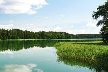 Obraz premium On the shore of the lake