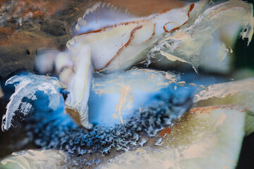 Mushrooms in the forest with a twist 