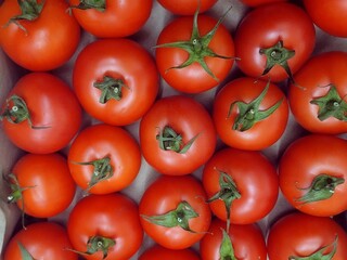 Fresh red tomato natural background and pattern
