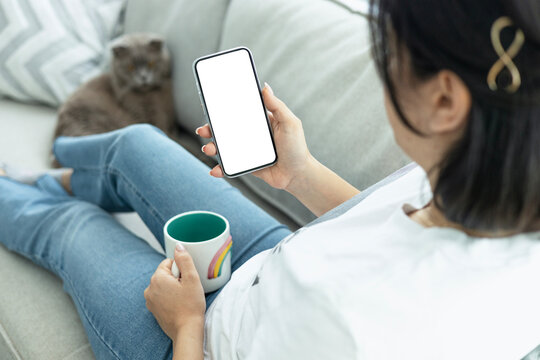 Woman hand holding a smartphone blank white screen and sitting on sofa at home with domestic cat and coffee
