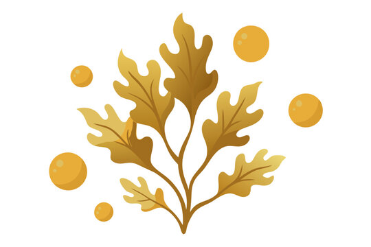 Realistic Floating Sargassum Seaweed Vector with Leafy Texture