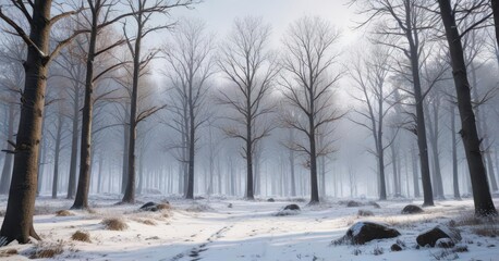 Winter forest with snowflakes falling on bare trees ,  bare,  winter