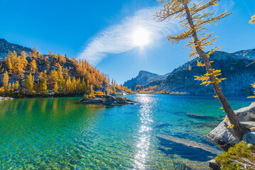 Beautiful Blue Landscape With Lots Of Orange Trees