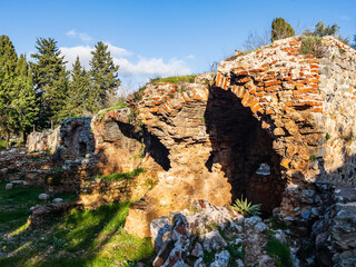 Historical stone ruins partially covered in vegetation, conveying serene reflections of time and nature