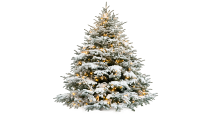 Snow-covered Christmas tree sparkling with festive lights, isolated on transparent background, ideal for seasonal design needs