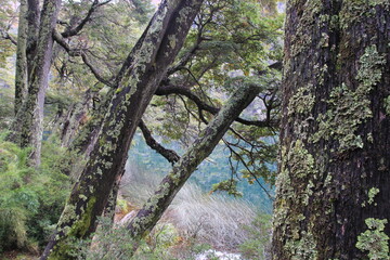 Lago Machonico Espejo Grande Chico San Martin de los Andes Patagonia Argentina 7 Siete Lagos Rio Hermoso Villa La Angostura Ruca Malen