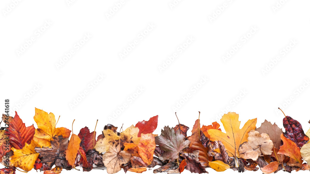 Aufkleber vibrant autumn leaves create a seamless border on a transparent background, perfect for fall-themed 