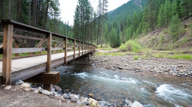 A rustic wooden bridge extends over a rushing mountain stream, leading into a dense pine forest surrounded by nature's tranquility