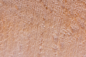 Wooden surface with a grainy texture. The surface appears to be old and worn, with a few scratches and marks visible. Scene is somewhat somber and nostalgic