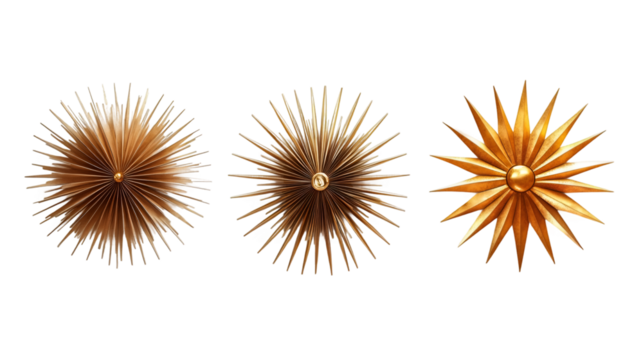 Three variations of a golden sunburst decoration isolated on transparent background, perfect for luxury and elegant designs - Powered by Adobe