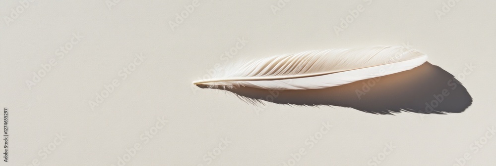 Poster soft eiderdown feather rests gently on a clean light surface creating an airy and tranquil atmospher