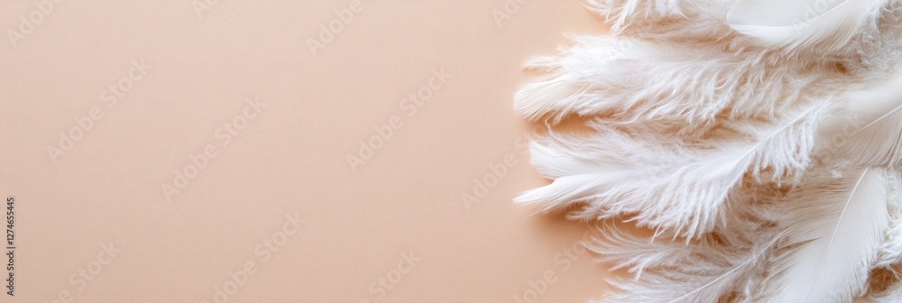 Poster delicate eiderdown feathers rest against a flat earthy surface showcasing their soft texture and pri