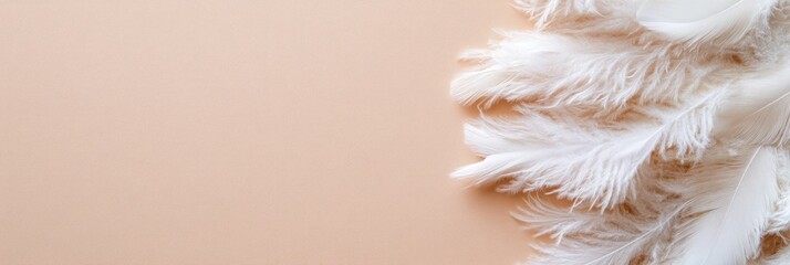 Delicate eiderdown feathers rest against a flat earthy surface showcasing their soft texture and pristine white color. The ample space around the feather cluster allows for versatile use in design