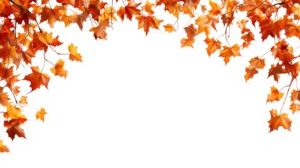 Beautiful, vibrant orange autumn leaves creating a natural frame on a transparent background, perfect for fall-themed designs