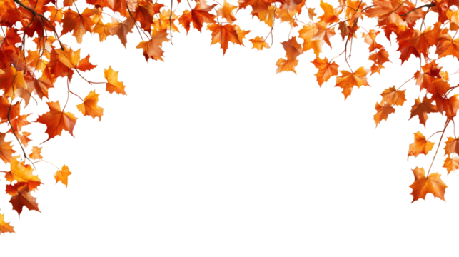 Beautiful, vibrant orange autumn leaves creating a natural frame on a transparent background, perfect for fall-themed designs