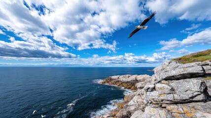 Eagle soaring over rocky coastline with blue sky
