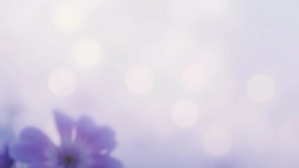 Pastel blue purple violet lilac lavender cornflower gray white abstract background Noise grain mesh