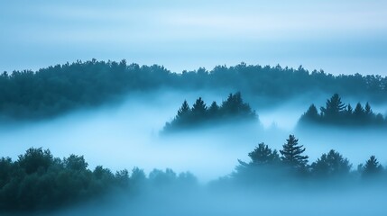 Fototapeta premium Misty Morning Forest Enveloped in Blue Haze