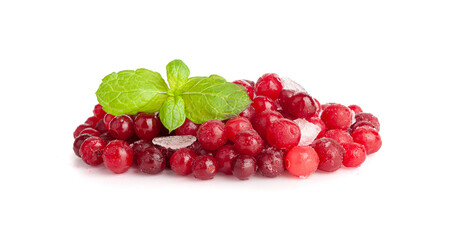 Frozen Lingonberry, Iced Cowberry, Snow Cranberry, Red Viburnum Berries, Frozen Lingonberry
