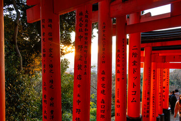 shinto shrine arches in Fushimi Inari in Japan 