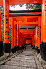 shinto shrine arches in Fushimi Inari in Japan 