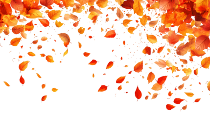 Realistic autumn leaves falling from the top creating a seasonal decoration on a transparent background